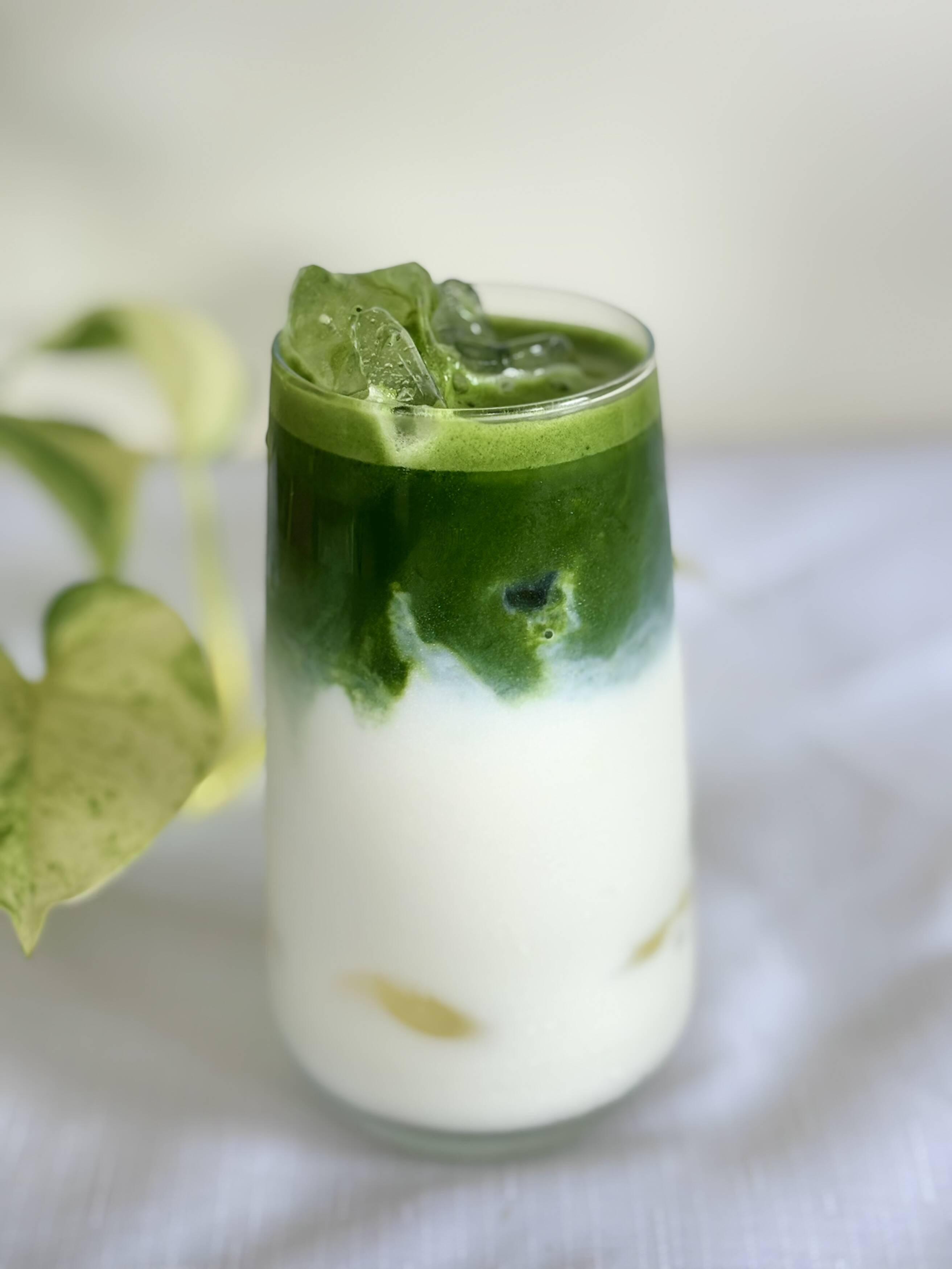 Learn About Matcha